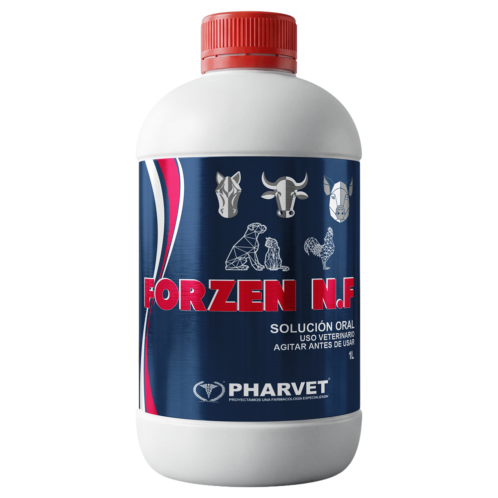 Forzen N.F