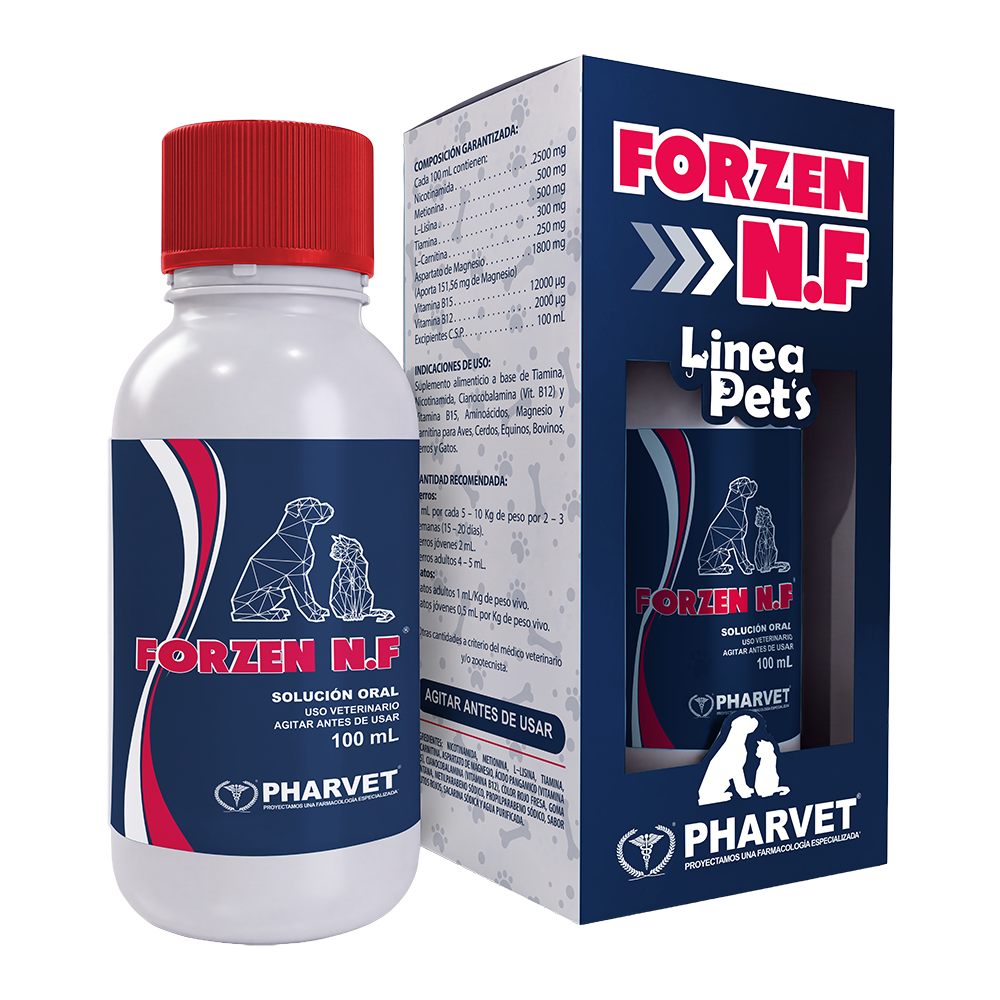 Forzen N.F