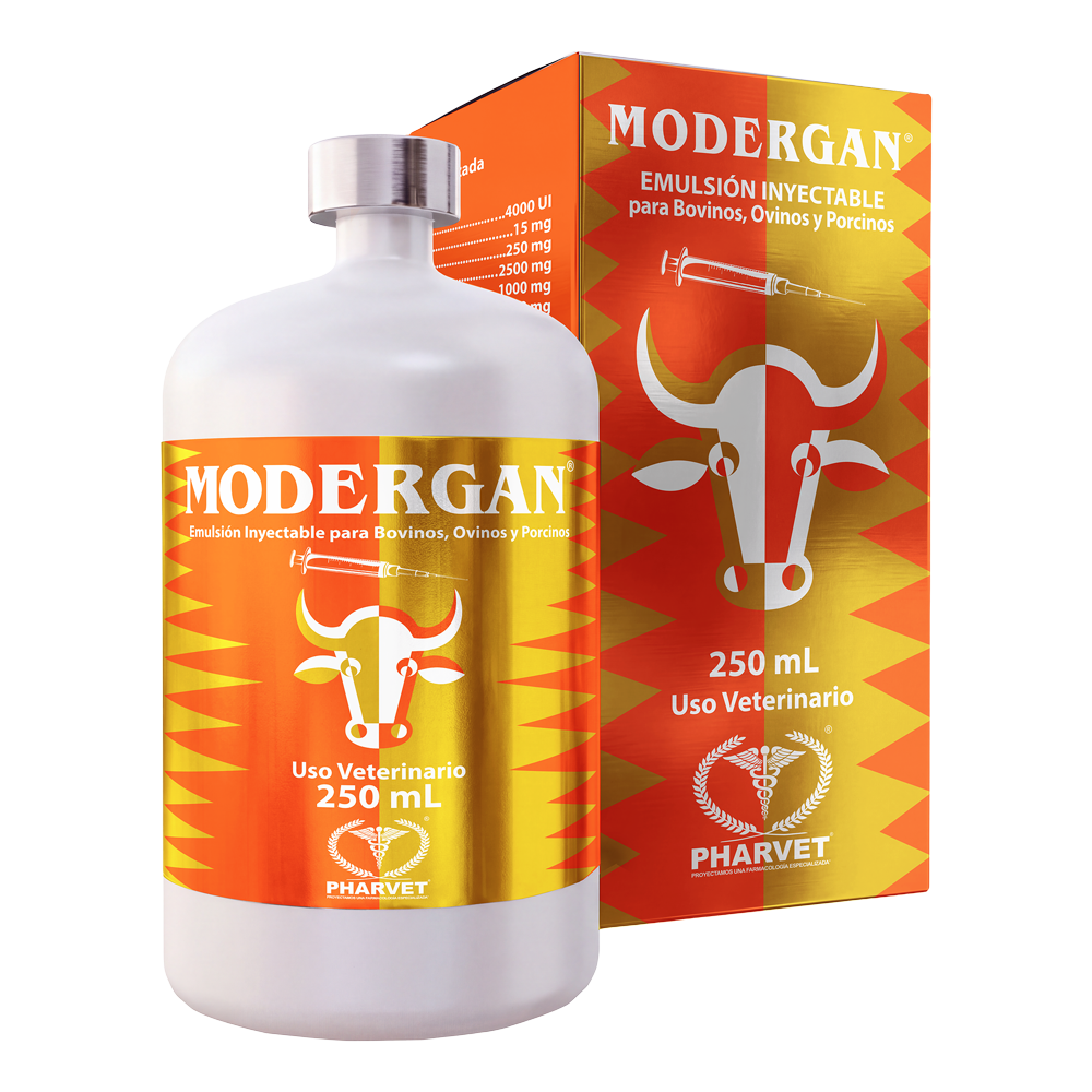MODERGAN