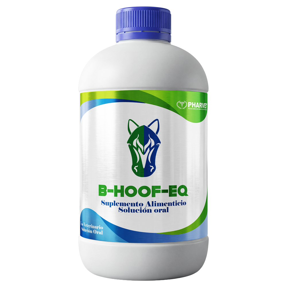B-HOOF-EQ