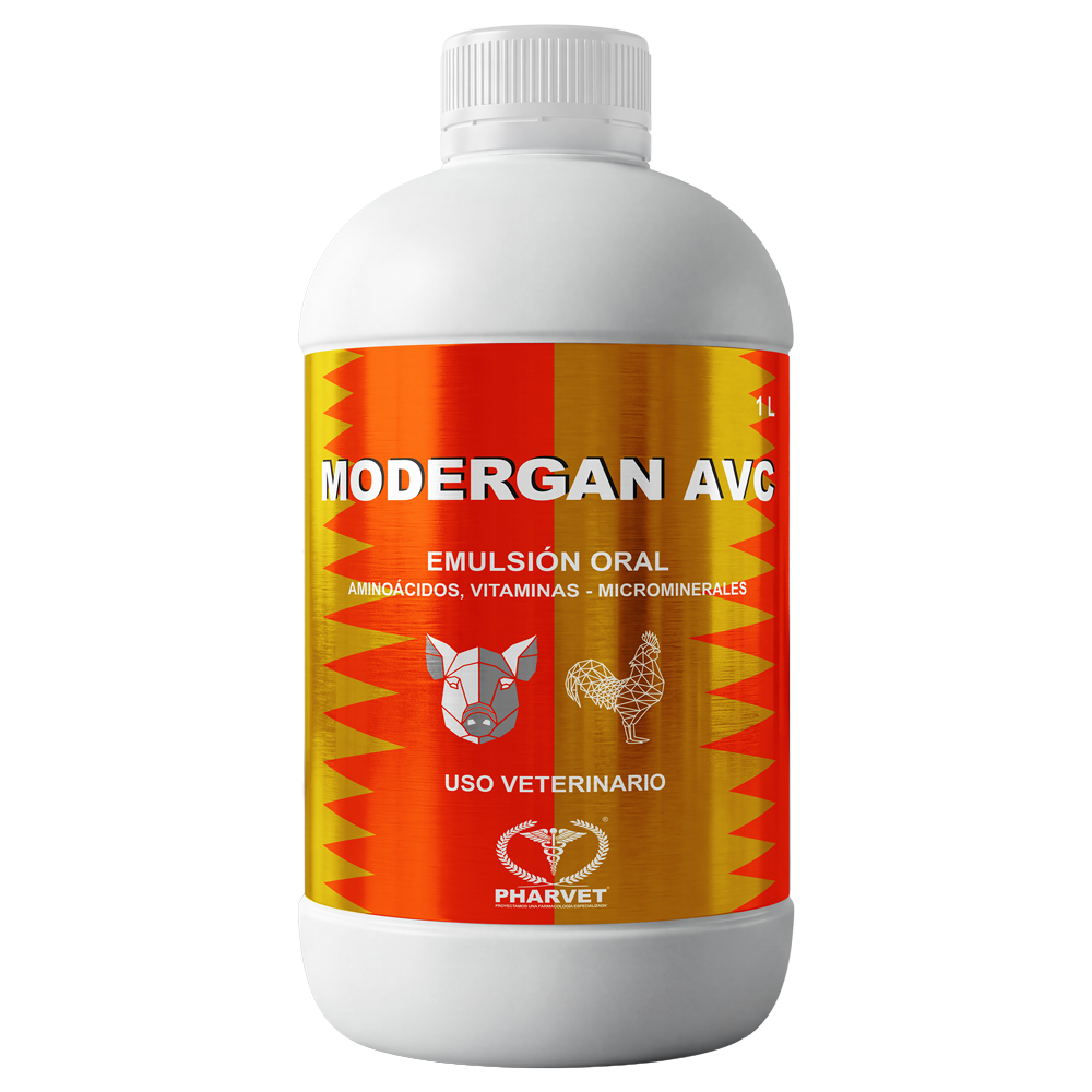 Modergan AVC