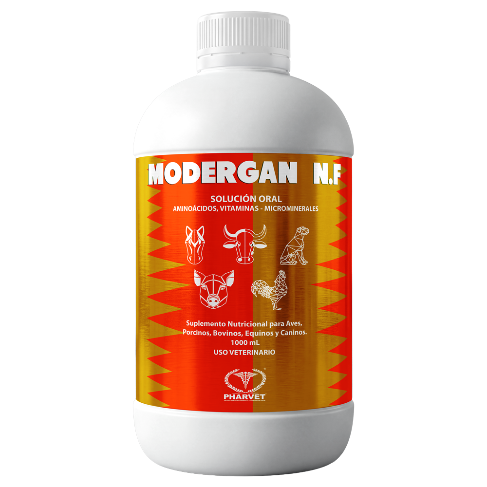 MODERGAN NF