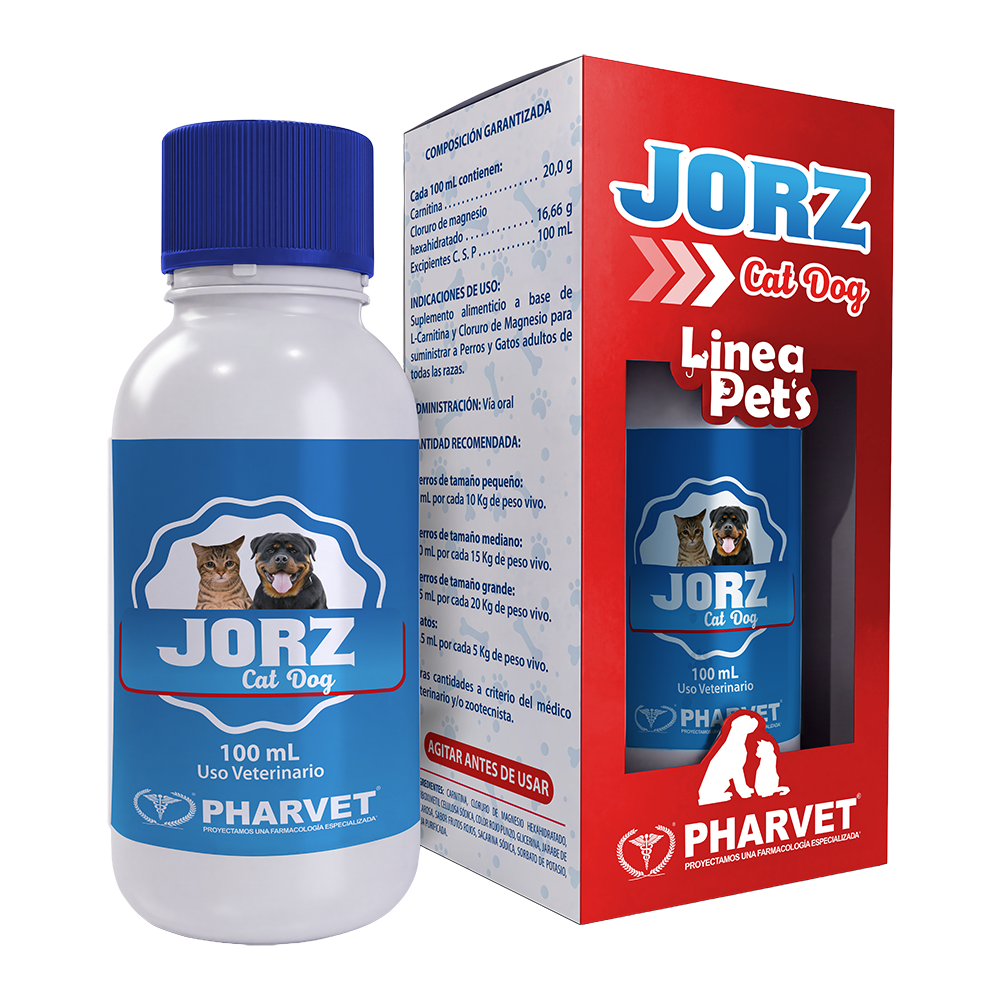 Jorz Cat Dog