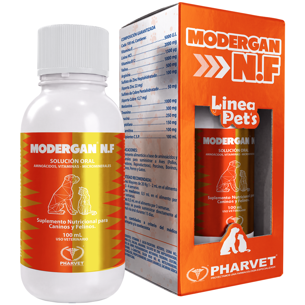 MODERGAN N.F