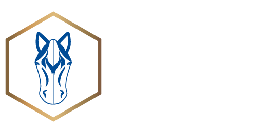 Linea Equina Premium