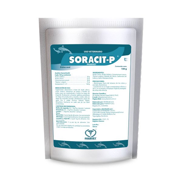 SORACIT-P