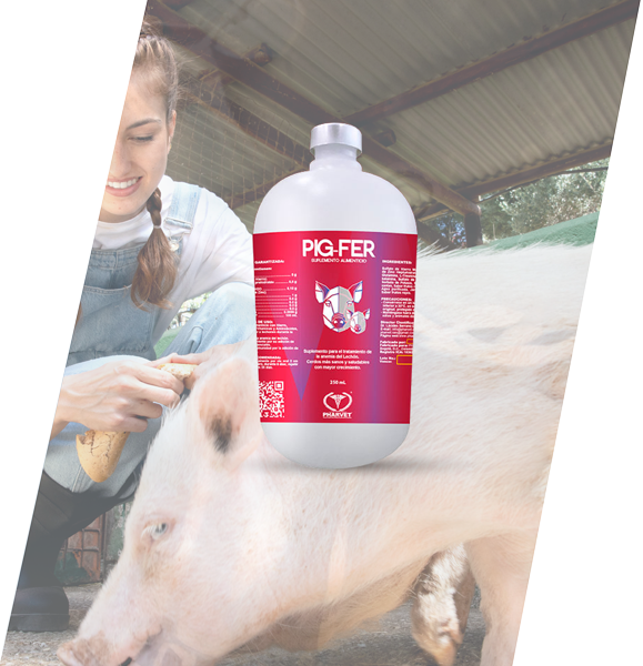 banner-porcicultura