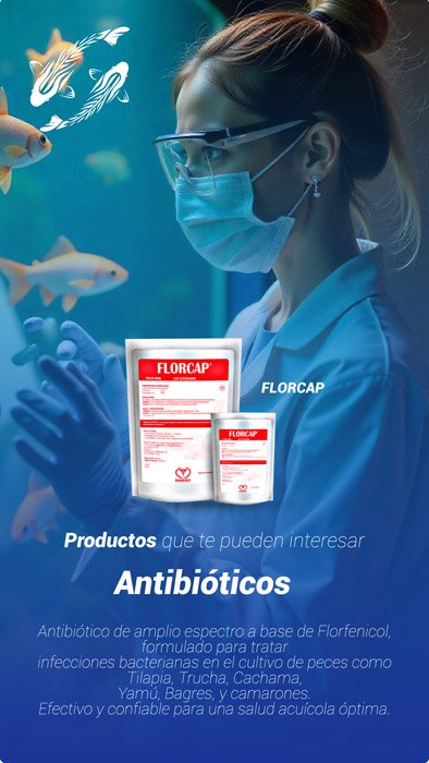 acuicultura-banner-moviles