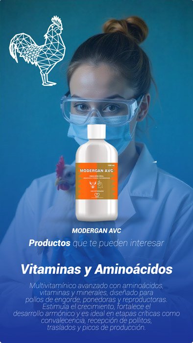 avicultura-banner-moviles