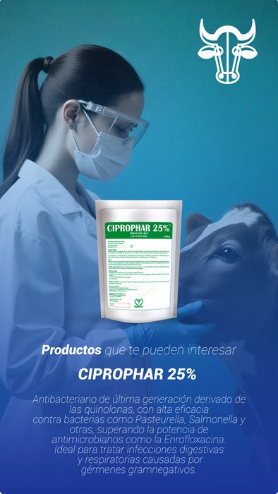 ganaderia-banner-moviles