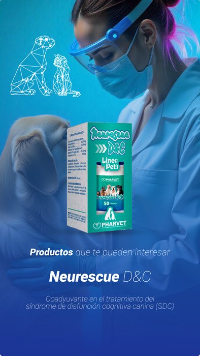 mascotas-banner-moviles